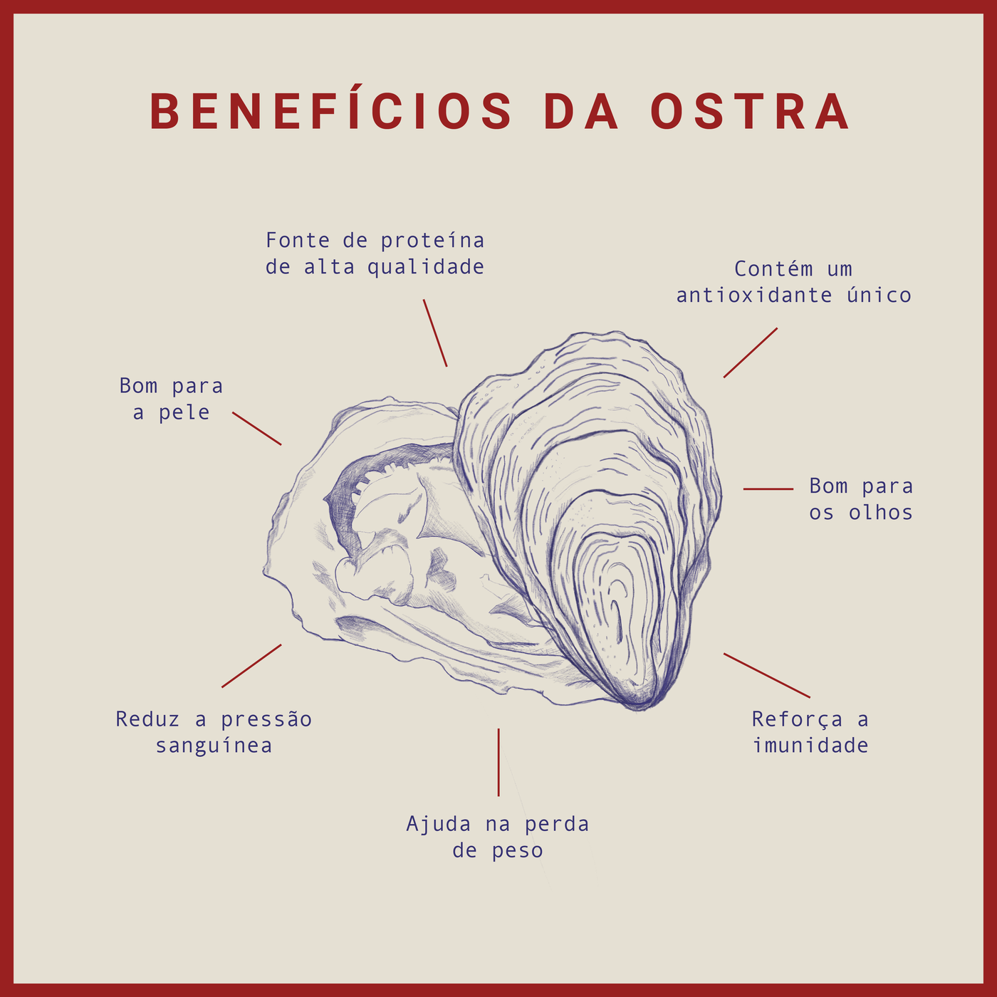 Benefícios da ostra para a saúde